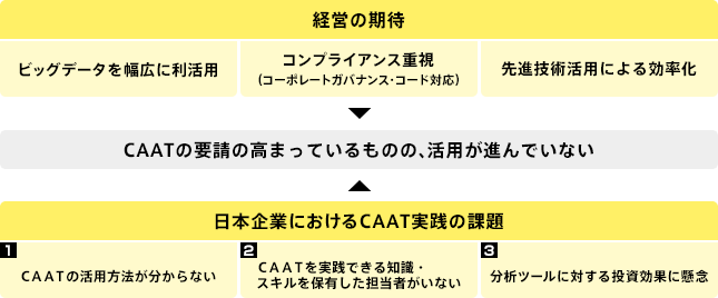 CAATに対する経営の期待と課題