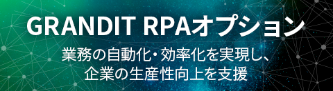 GRANDIT RPAオプション