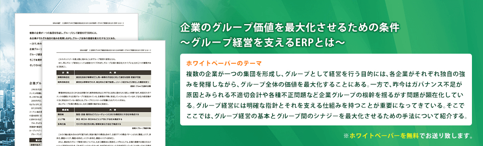 企業のグループ価値を最大化させるための条件～グループ経営を支えるERPとは～