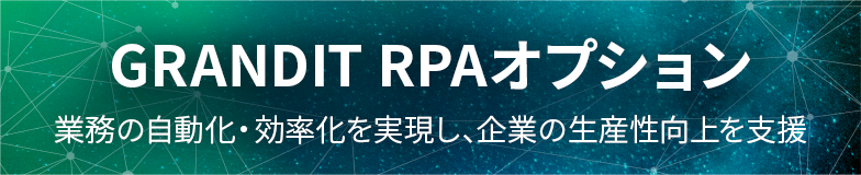 GRANDIT RPAオプション