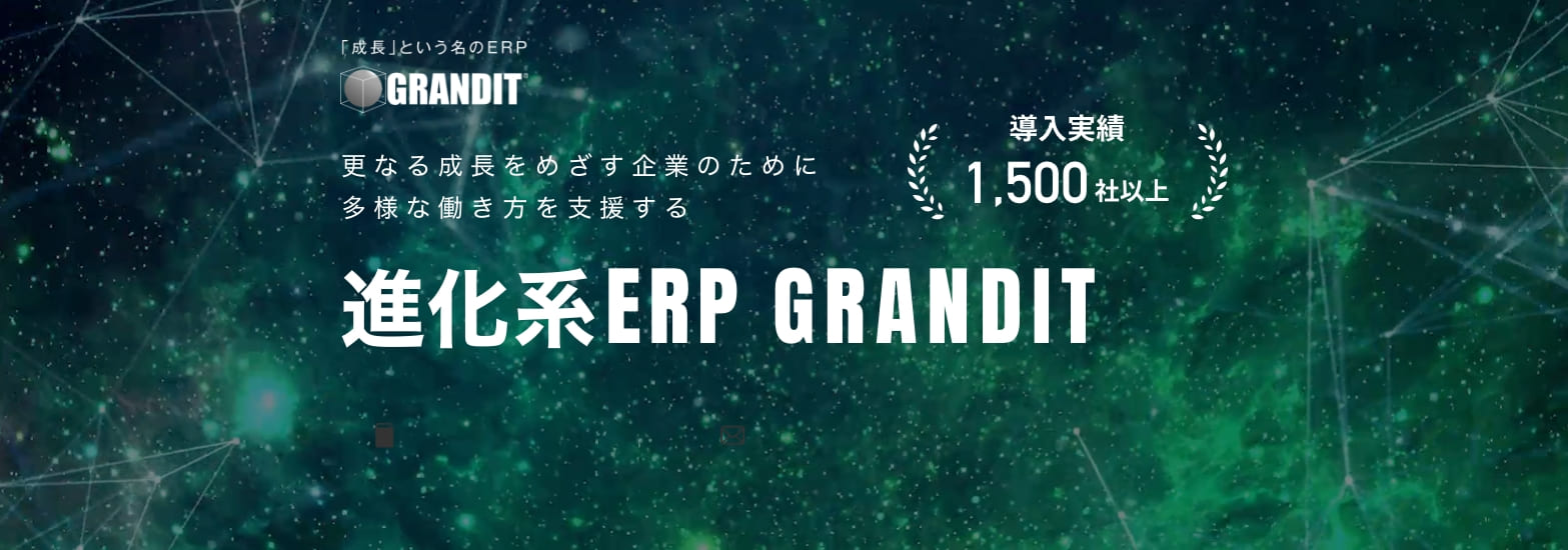 進化系ERP