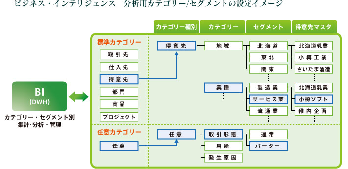 ビジネス・インテリジェンス 分析用カテゴリー/セグメントの設定イメージ