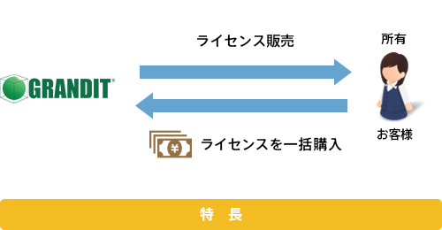 ンプレミス型