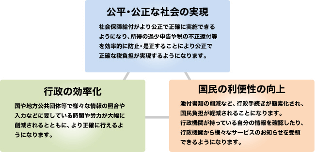 
										マイナンバー制度とは