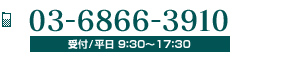 03-6866-3910