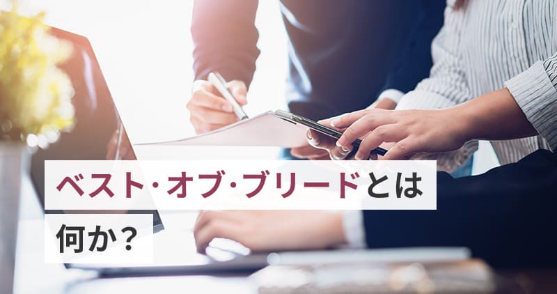 ベスト・オブ・ブリードとは何か？～変化に強いITアーキテクチャへの実践的アプローチ～イメージ