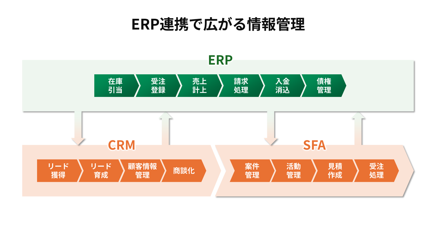 ERP